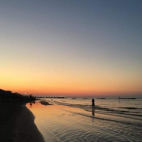 Photo #6505109