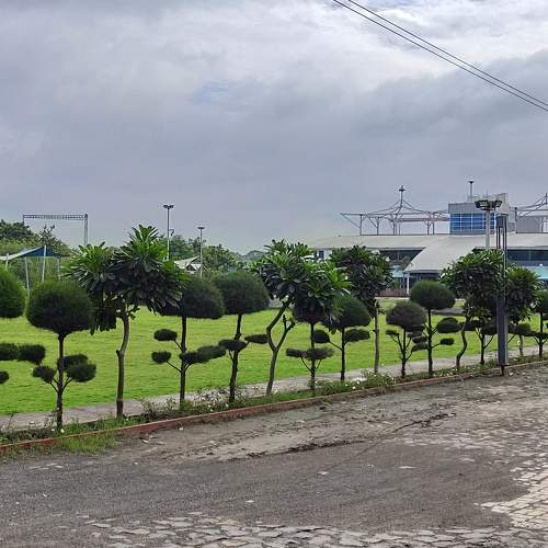Photo #6506228