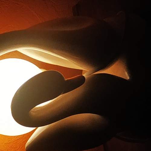 Photo #6506567