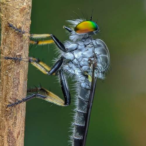 Photo #6506817