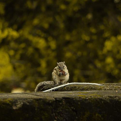Photo #6506904