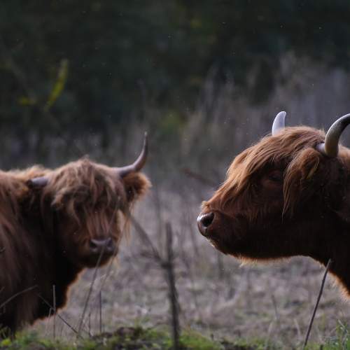 Photo #6507334