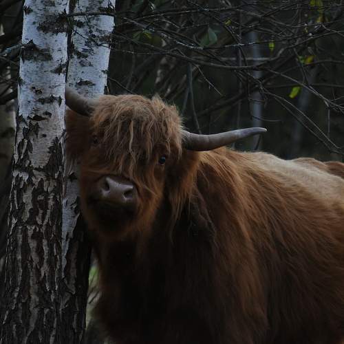 Photo #6507335