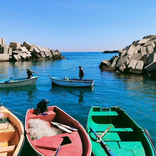 Photo #6507535