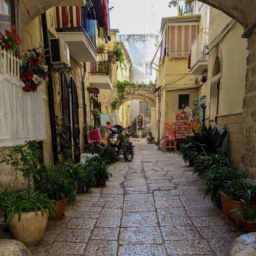 Photo #6507950