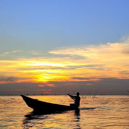 Photo #6508310