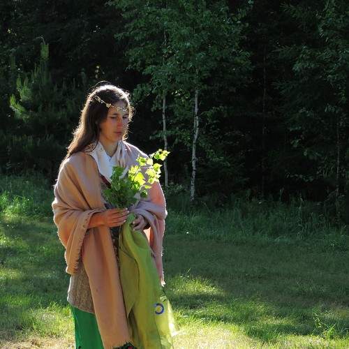 Photo #6508794