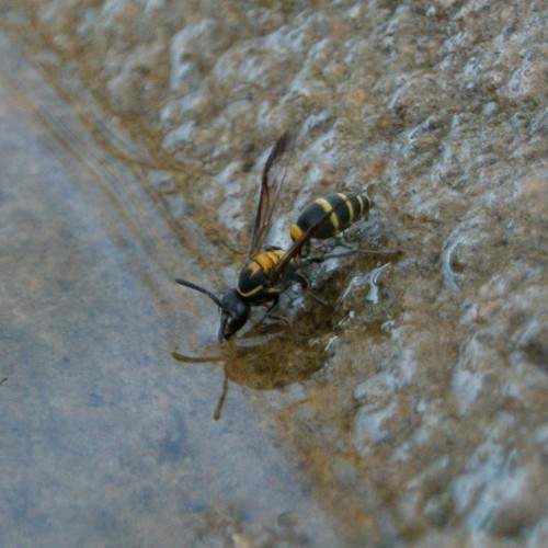 Photo #6508953