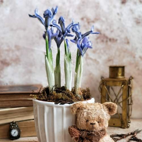 Photo #6508959