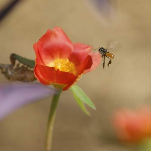 Photo #6508971