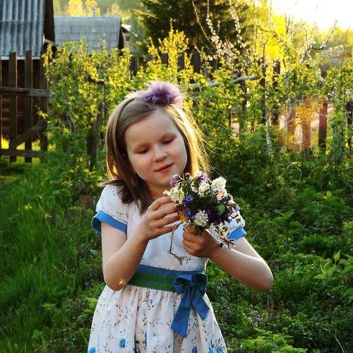 Photo #6509123