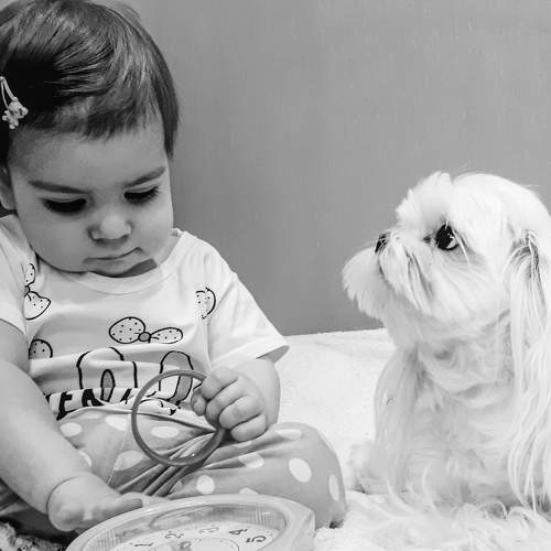 Photo #6509138