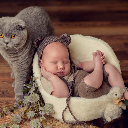Photo #6509508