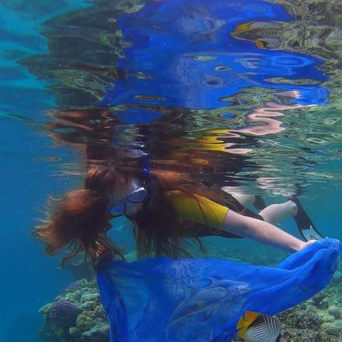 Photo #6510185