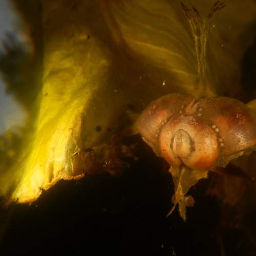 Photo #6510226