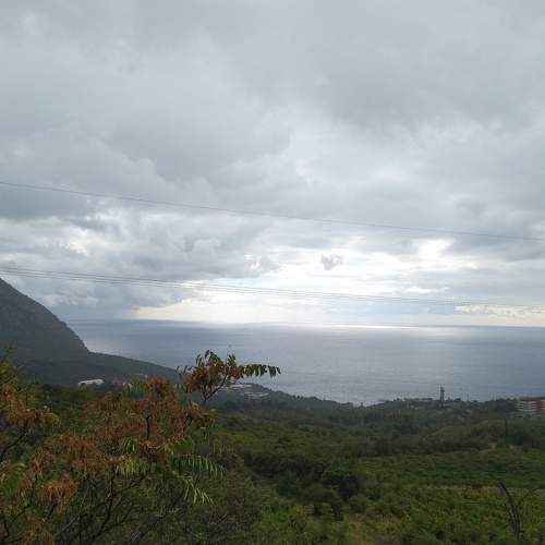 Photo #6510567