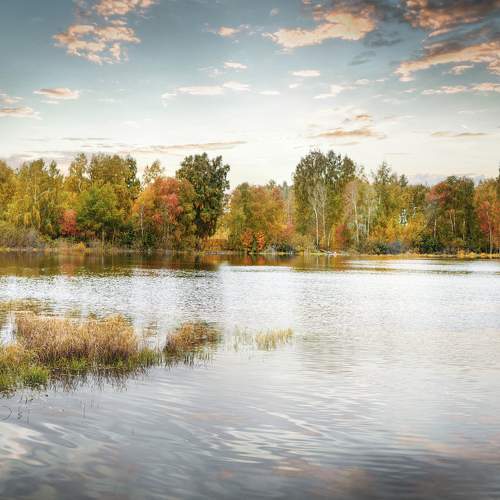 Photo #6510583