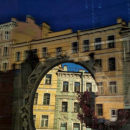 Photo #6510854