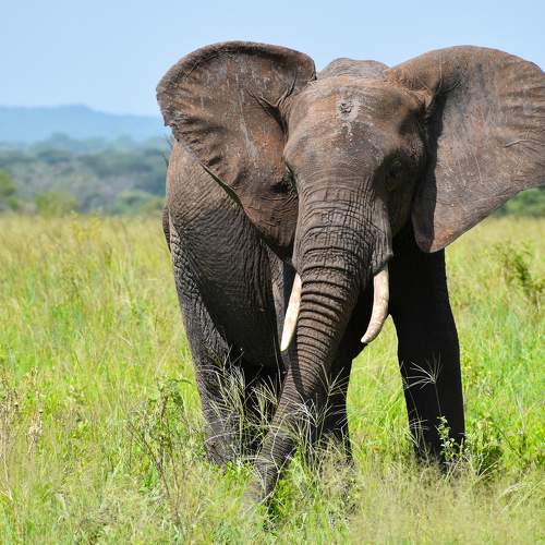 Photo #6511213