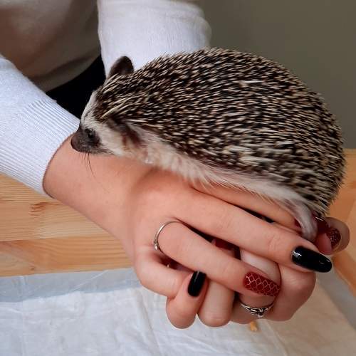 Photo #6511237