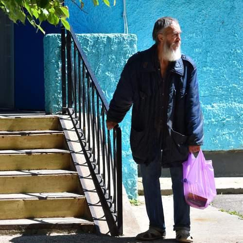 Photo #6511239