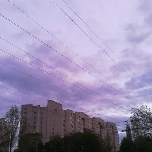 Photo #6511343