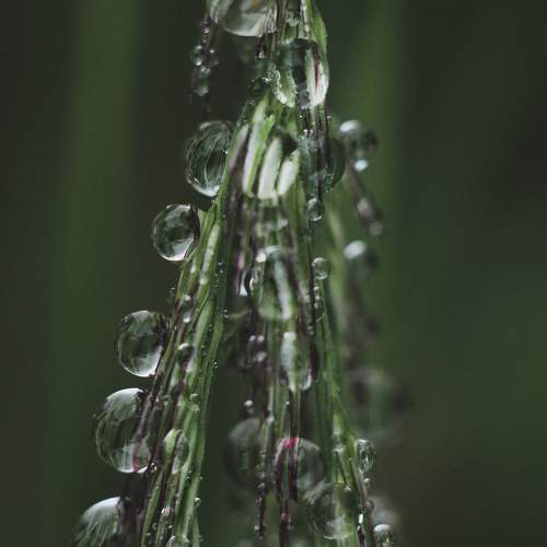 Photo #6511394