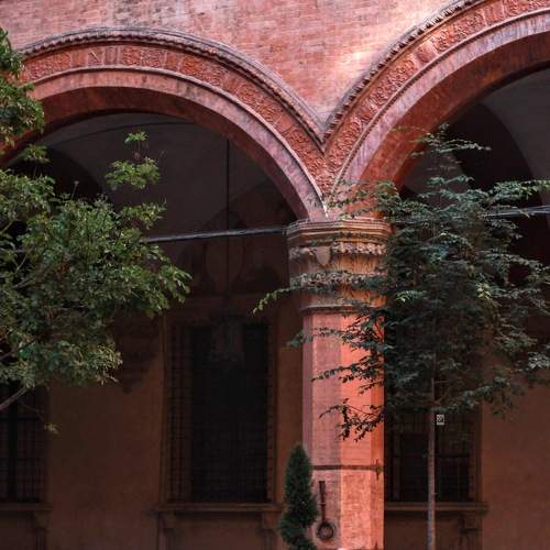 Photo #6511768