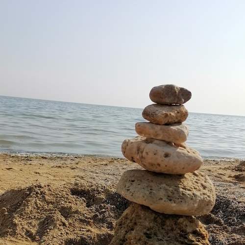 Photo #6511872