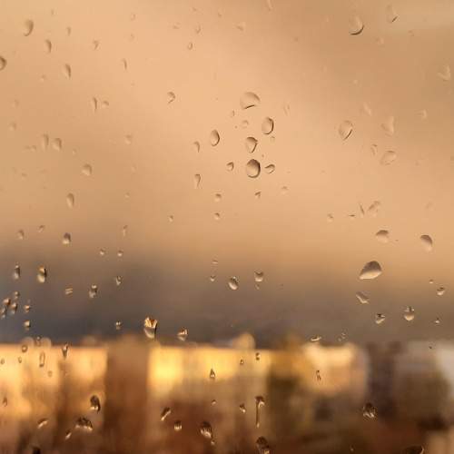 Photo #6512079