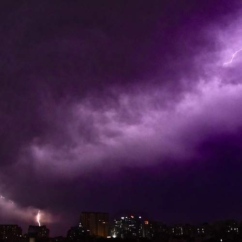 Photo #6512189