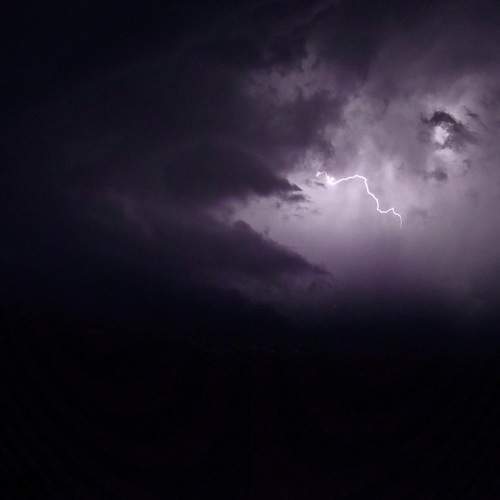 Photo #6512194