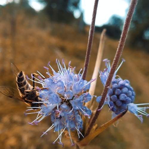 Photo #6512381