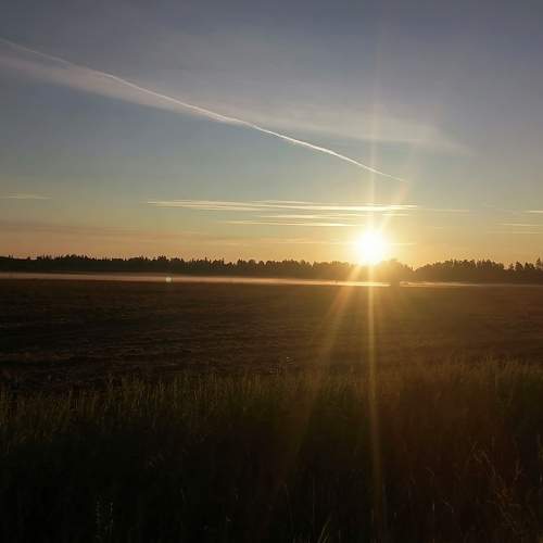 Photo #6512721