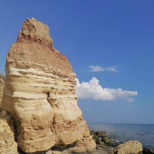 Photo #6512742
