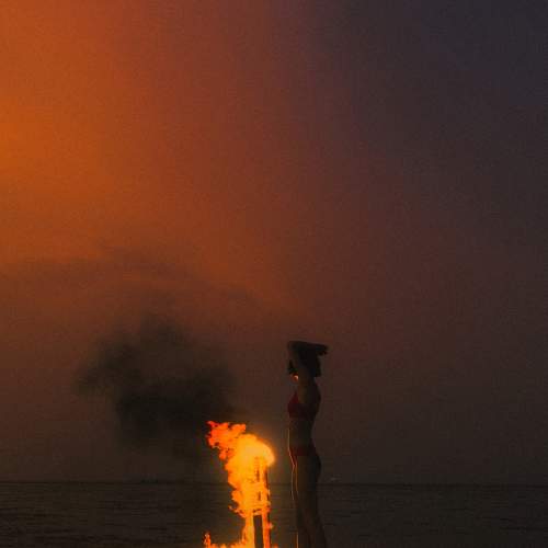 Photo #6513362