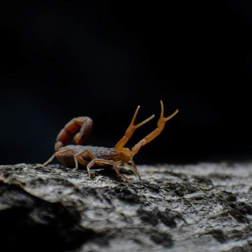 Photo #6514304