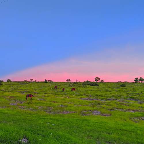 Nature