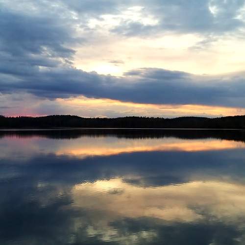 Photo #6515035