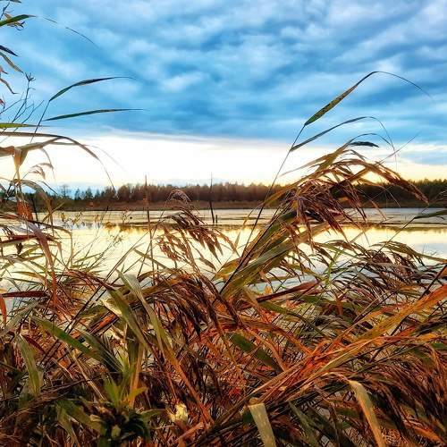 Photo #6515075