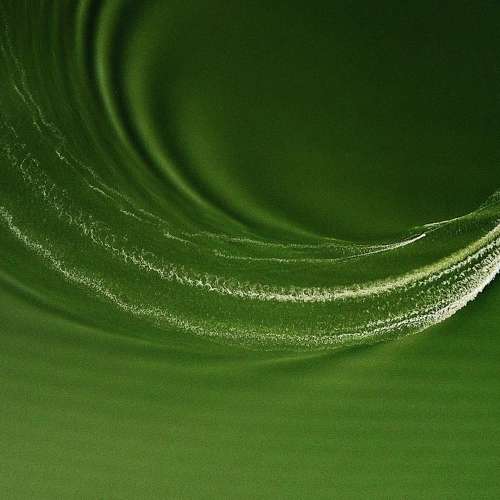 Photo #6515702
