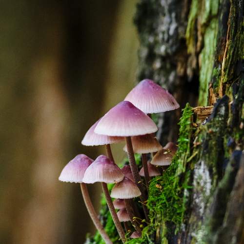 Photo #6515831
