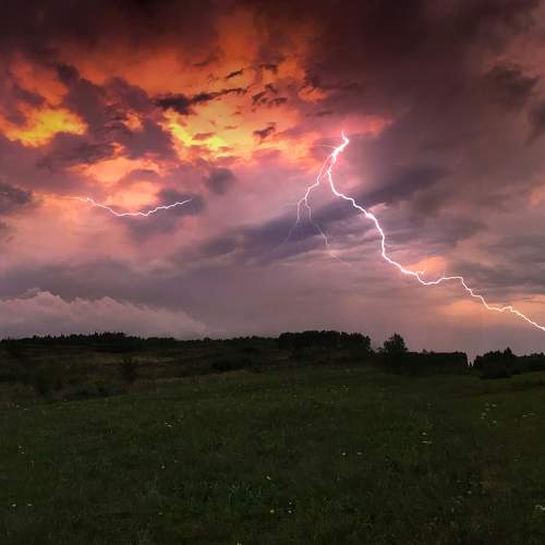 Photo #6515952