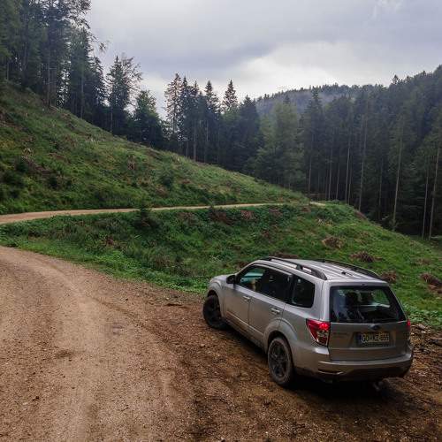 Photo #6516301