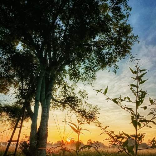 Photo #6516589