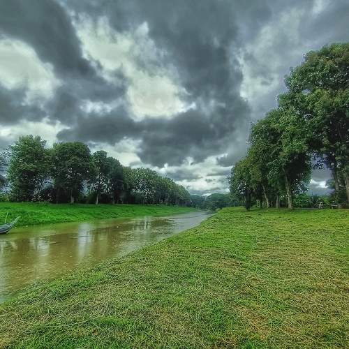 Photo #6516601