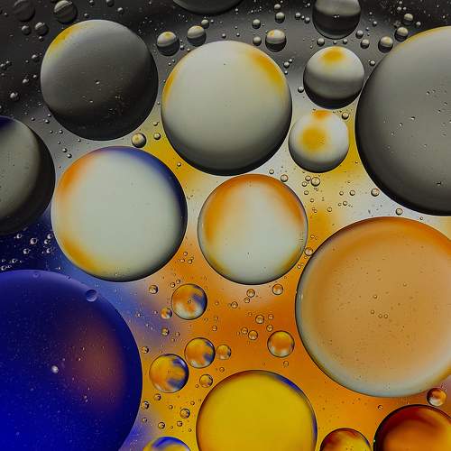 Photo #6516957