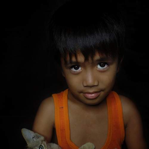 Photo #6516977