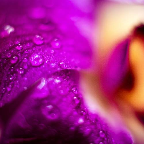 Photo #6517191
