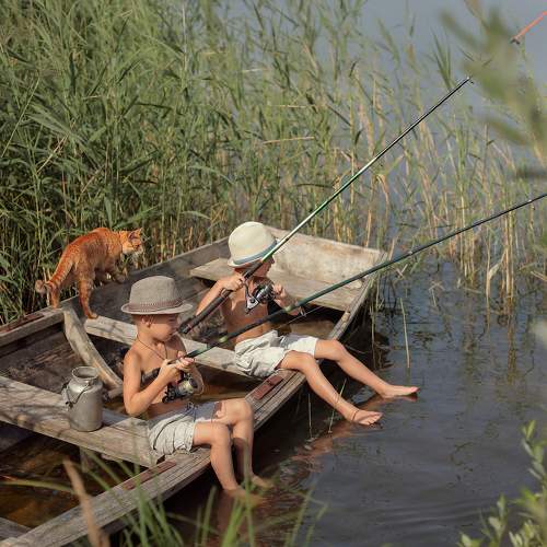Photo #6517869
